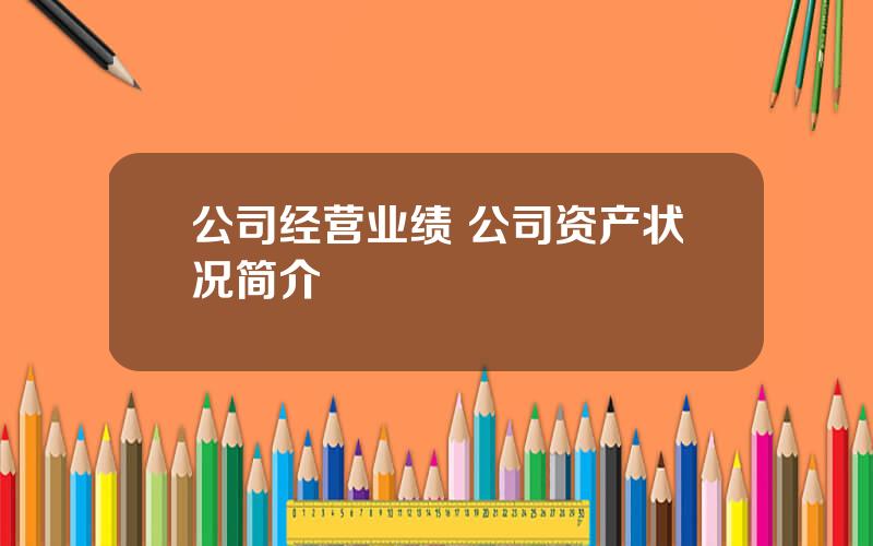 公司经营业绩 公司资产状况简介